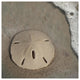 "Sand Surf Sand Dollar" Digital Paper Print by Sue Schlabach, 42"x42"