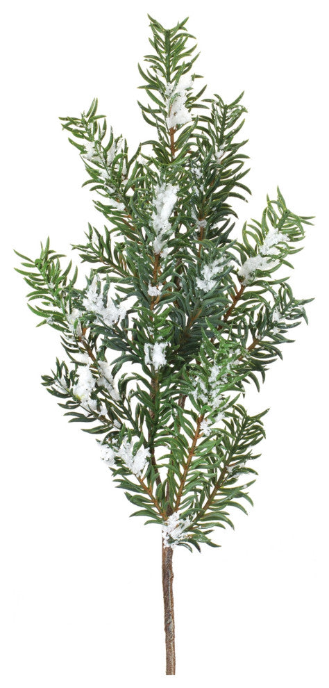 Snow Pine Spray, Set of 6