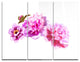 "Bright Pink Peony Flowers" Metal Wall Art, 3 Panels, 36"x28"