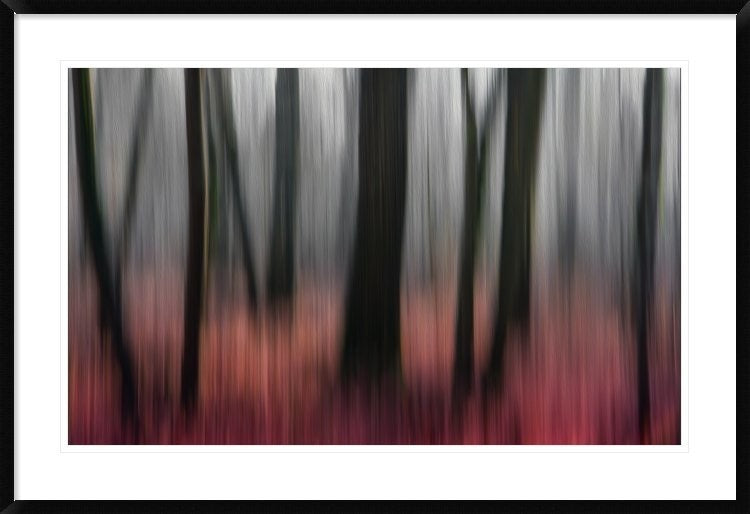 "Red Wood" Framed Digital Print by Gilbert Claes, 44x30"