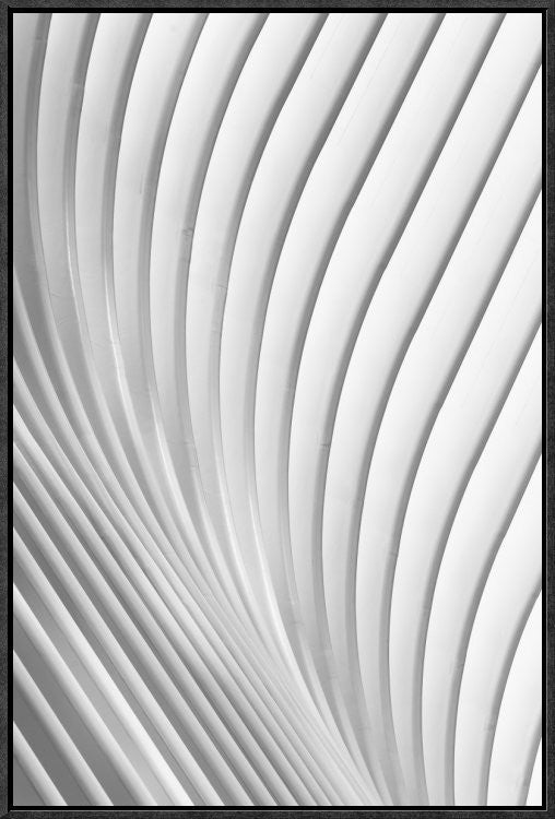 Calatrava Lines, 16"x24"