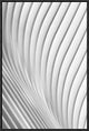 Calatrava Lines, 16"x24"
