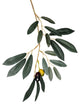 8' Potted Olive Tree 1449Lvs