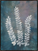 30x40 He Loves Me, He Loves Me Not II, Framed Artwork, Espresso