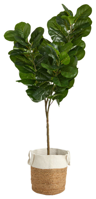 White background with a cropped view of the plant and pot (alternate_white_close).