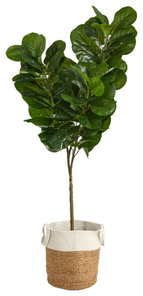 White background with a cropped view of the plant and pot (alternate_white_close).