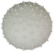 8.5" Resin LED Sea Urchin Accent Lamp - Nautical Decor
