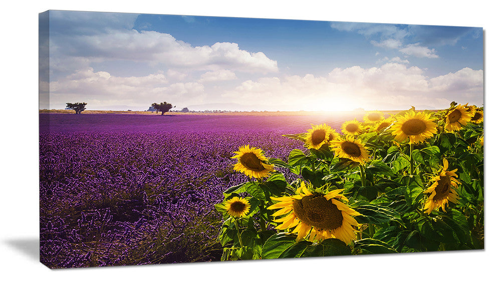 Lavender and Sunflower Fields, Floral Canvas Art Print, 32"x16"