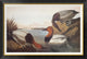 "Canvas-Backed Duck" Framed Canvas Giclee by John James Audubon, 42"x32"