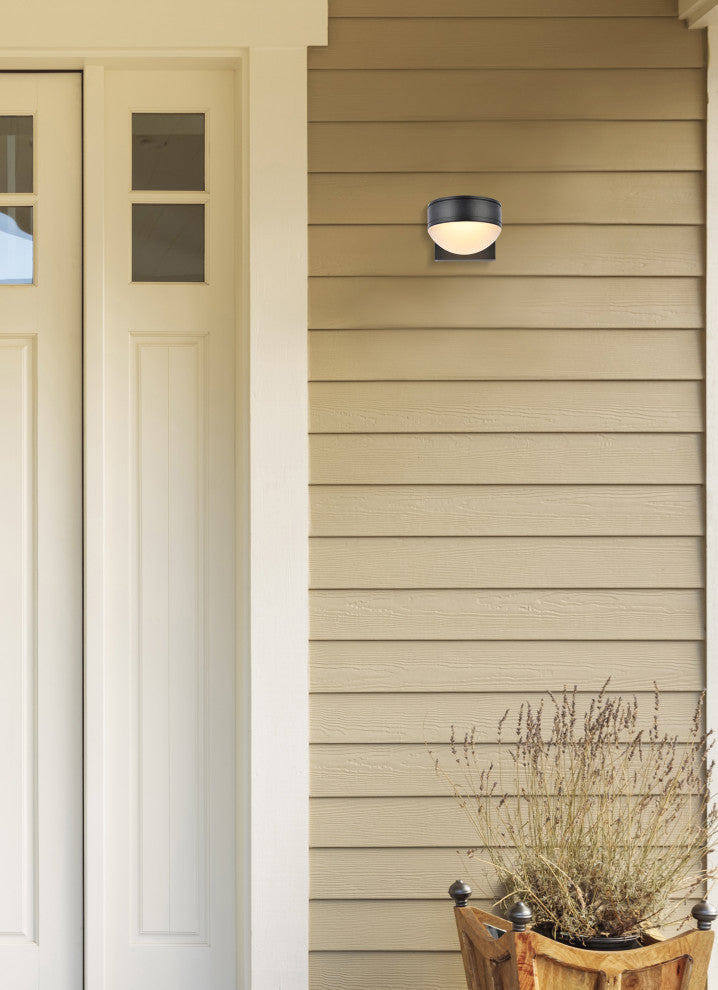 Trendy Fare LED Wall Sconce (Black)