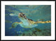 "Green Sea Turtle, Balicasag Island, Philippines"  by Tim Fitzharris, 44x32"