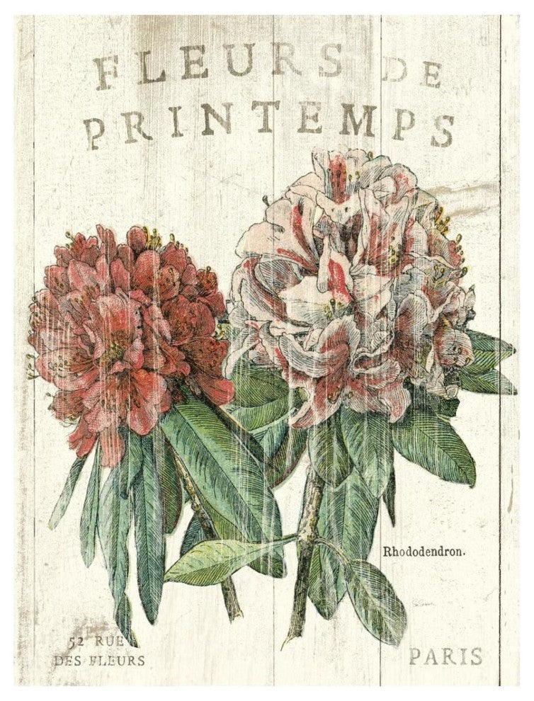 "Fleur de Printemps" Digital Paper Print by Sue Schlabach, 14"x18"