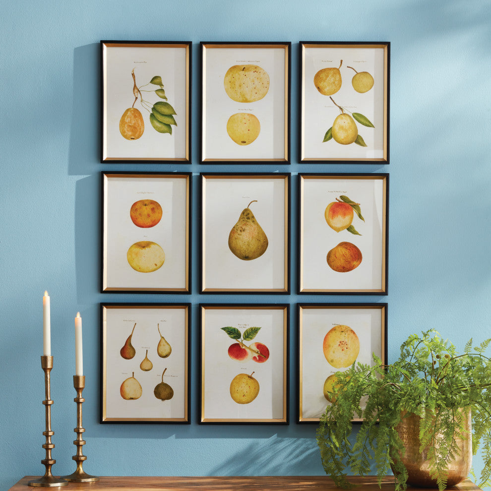 Assorted Fruits Study Gallery Art, Set of 9