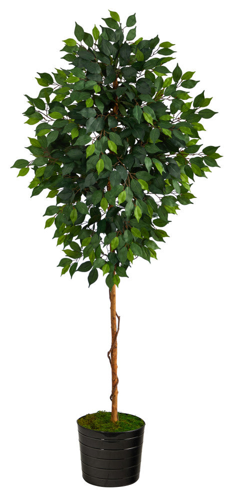 74" Ficus Artificial tree, Black Tin Planter