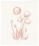 "Farm Nostalgia Flowers II" Digital Paper Print by Danhui Nai, 15"x18"