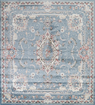 Light Blue Floral Medallion Transitional Turkish Rug Oriental Carpet 10x10