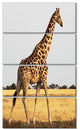 Single Giraffe in Africa Walking, African Canvas Print, 28"x48", 4 Panels