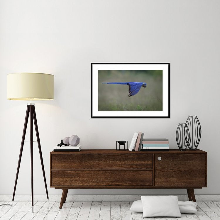 "Suspended" Framed Digital Print by Greg Barsh, 44x31"