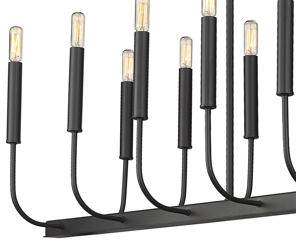 Sophisticated and Modern 14 - Light Black Large Oval Chandelier