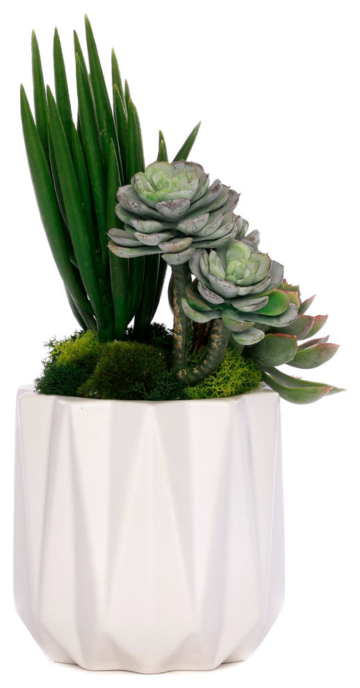 Succulent Arrangement in White Metal Pot