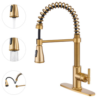 Single Handle Kitchen Faucet Pull-Down Sprayer, 360 Swivel, Three Functions, Brushed Gold