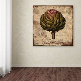 Tina Lavoie 'Cynara Scolymus' Canvas Art, 35" x 35"