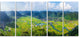 "Rice Field Valley Vietnam Panorama" Landscape Wall Art, 5 Panels, 60"x28"
