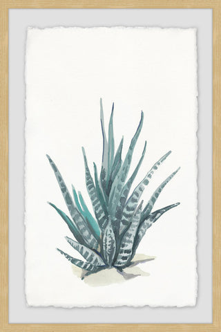 "Tall Succulent" Framed Painting Print, 20"x30"