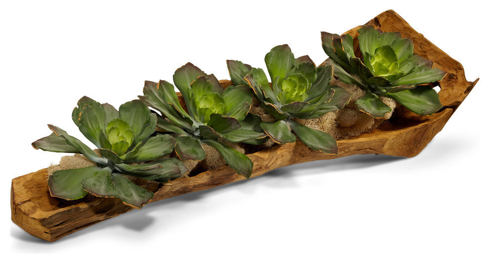 Echeverias in Hand-Carved Wood Log