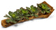 Echeverias in Hand-Carved Wood Log