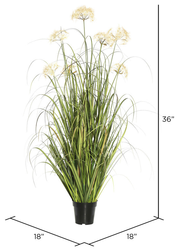 36" Dandelion Grass In Pot