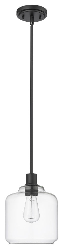 Asheville 1-Light 8" Pendant Light, Matte Black