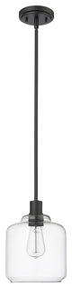 Asheville 1-Light 8" Pendant Light, Matte Black