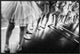 "Ballerina" Framed Canvas Giclee by Laura Mexia, 31x21"