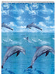 Blue Non Toxic PEVA Shower Curtain, Dolphin