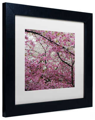 'Cherry Blossoms 2014-3' Matted Framed Canvas Art by CATeyes