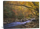 "Little River, Great Smoky Mountains National Park, Tennessee" Artwork