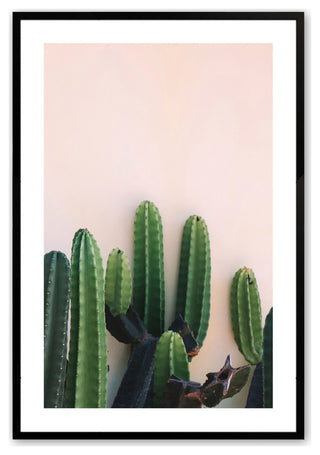Satin Black 12" x 16" Prickly Beauty Framed Print
