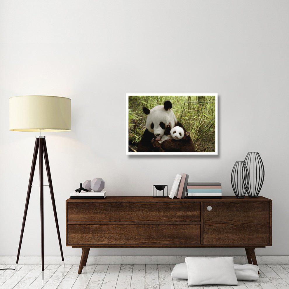 "Giant Panda Gongzhu and cub, bamboo, Wolong Nature Reserve" Paper Art, 38"x26"