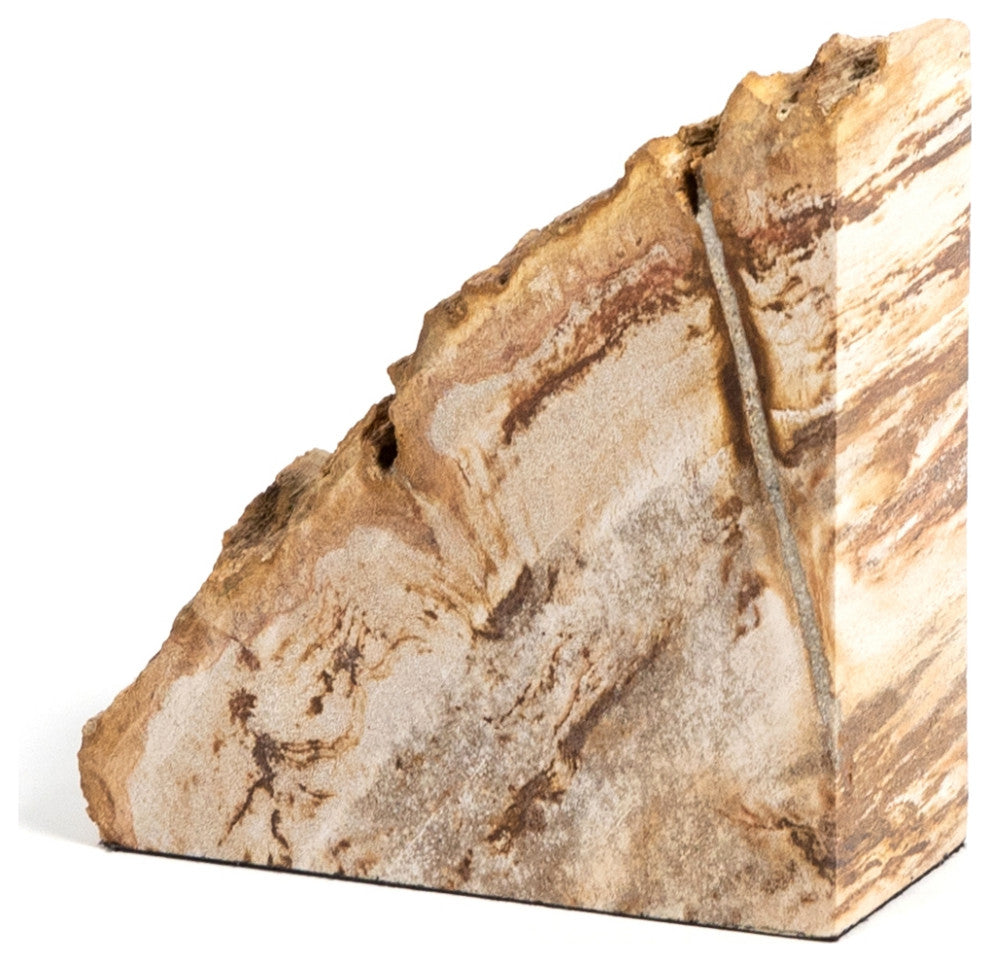 Petrified Wood Book Ends-Light