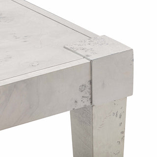 Brandyss Burl End Table, Gray