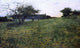 Arthur Wesley Dow Au Soir, 18"x27" Wall Decal Print