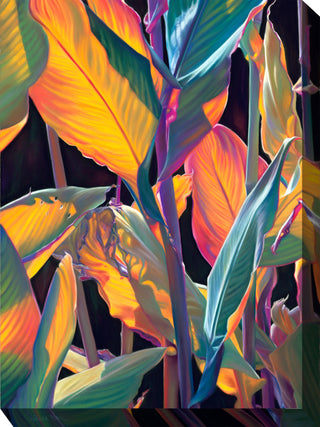 OU-80115 Tropicana Outdoor Art