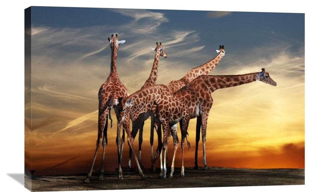 "Untitled" Stretched Canvas Giclee by Anna Cseresnjes, 36x24"
