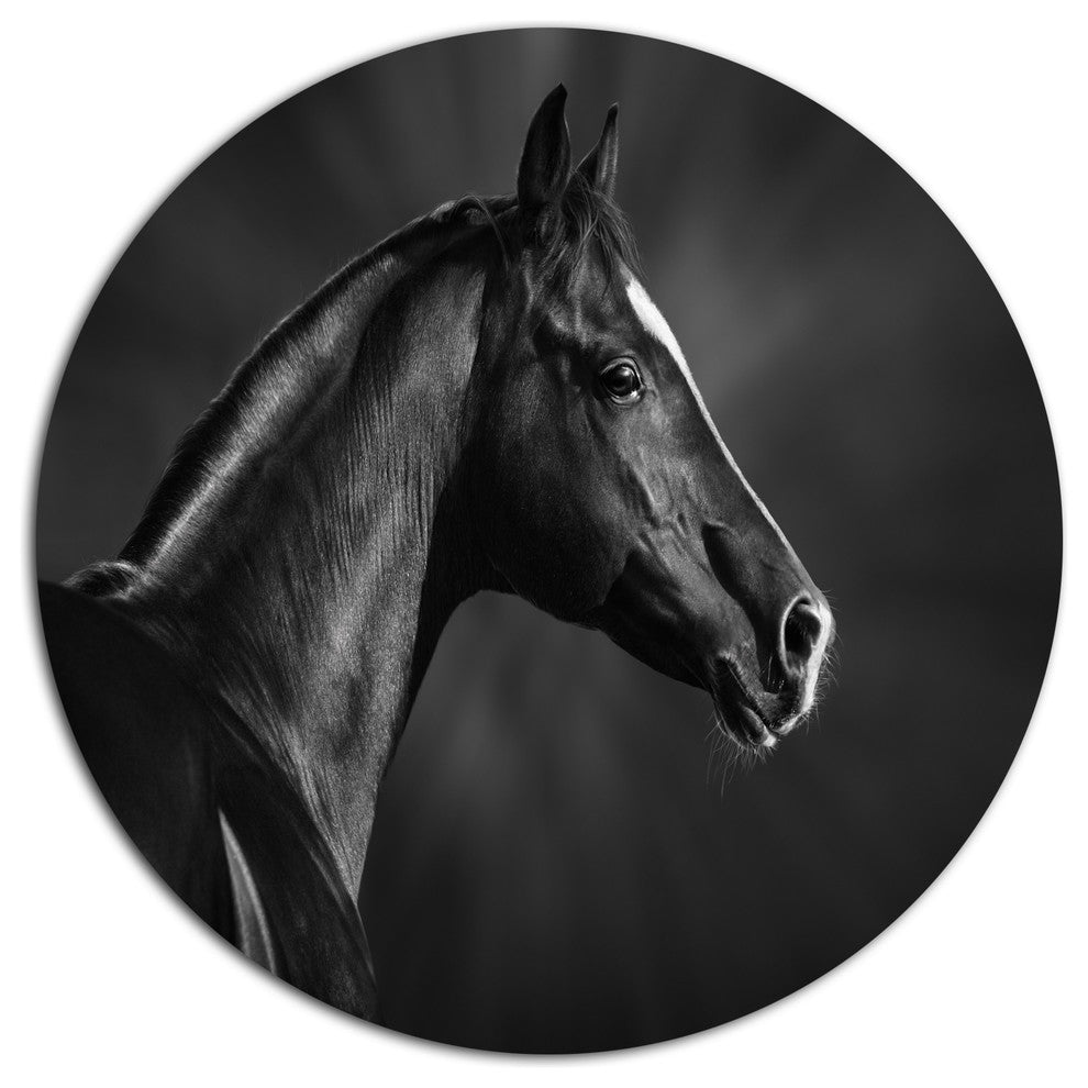 Black Arabian Horse Portrait, Animal Round Wall Art, 11"