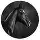 Black Arabian Horse Portrait, Animal Round Wall Art, 11"