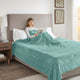 Beautyrest Heated Plush Heated Plush Blanket, Aqua