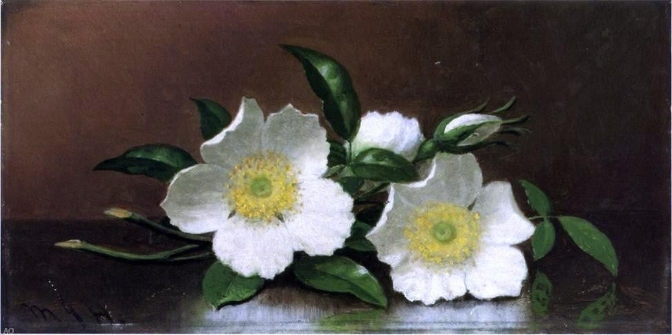 Martin Johnson Heade Two Cherokee Rose Blossoms on a Table Wall Decal