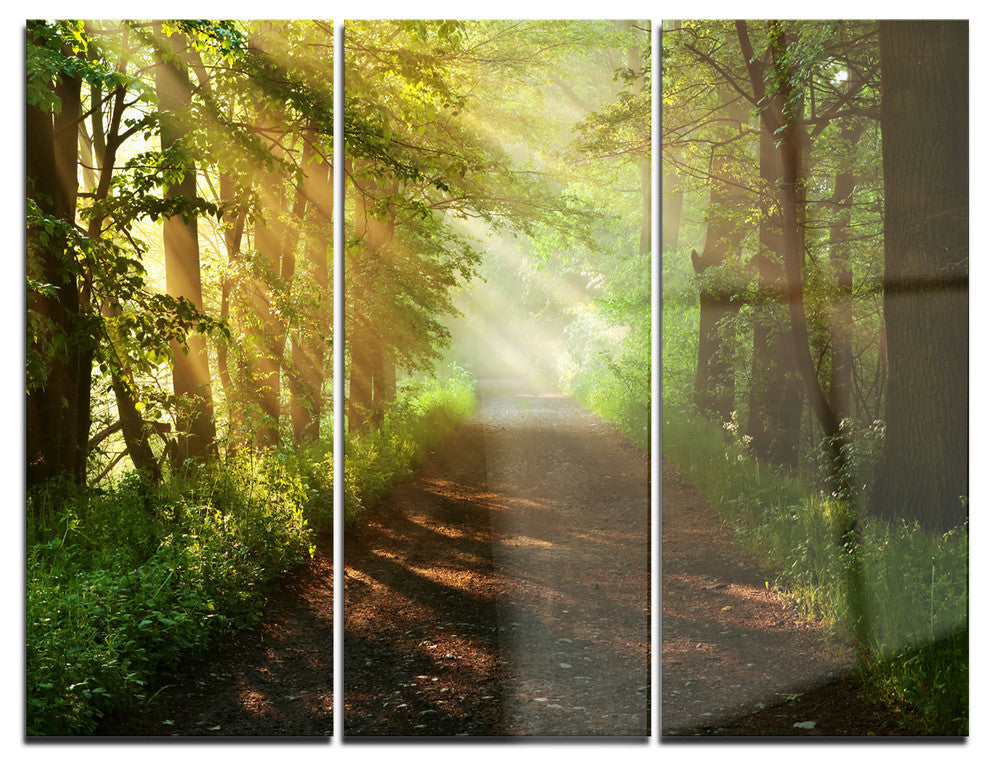 "Suns Peeks into Forest" Photo Metal Wall Art, 3 Panels, 36"x28"