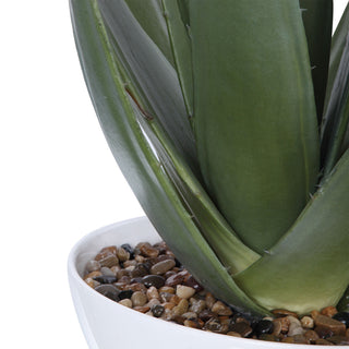 Uttermost Evarado Polyfoam Resin and Stone Aloe Planter in Glossy White